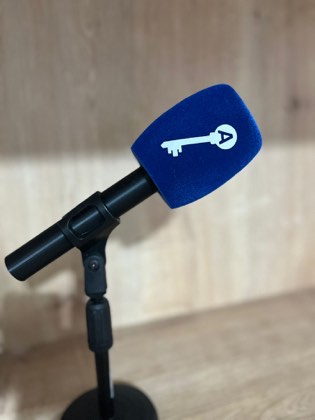Yıldız Promosyon mikrofon süngeri örnek uygulama görseli #7